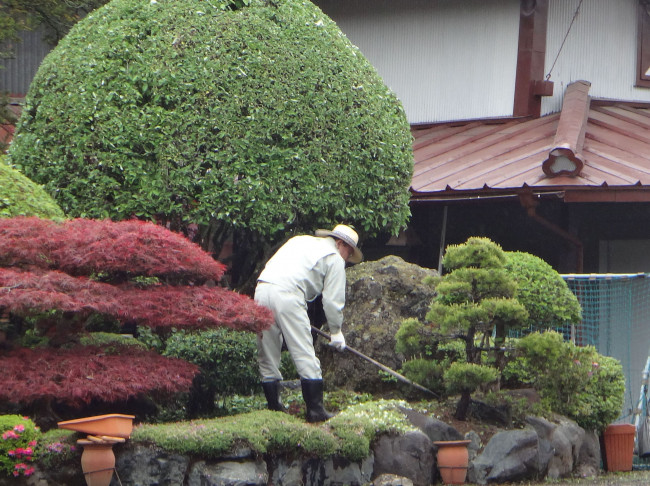 Превью записи блога «Сады в Японии»