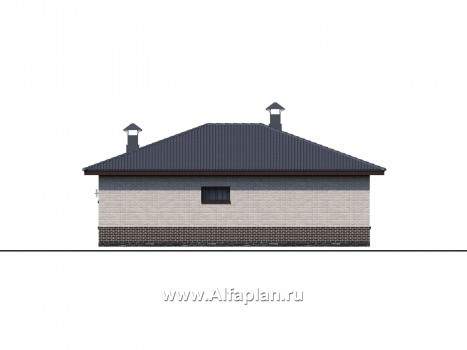 Проекты домов Альфаплан - «Алазея» - просторный одноэтажный дом с сауной и террасой - превью фасада №1