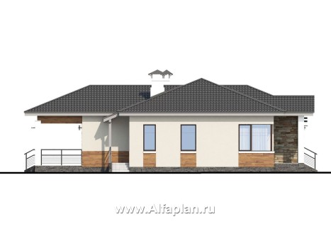 Проекты домов Альфаплан - «Витамин» - одноэтажный дом с большой гостиной и крытой террасой - превью фасада №3