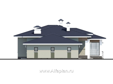 Проекты домов Альфаплан - «Теплый очаг» - компактный одноэтажный дом с гаражом - превью фасада №3