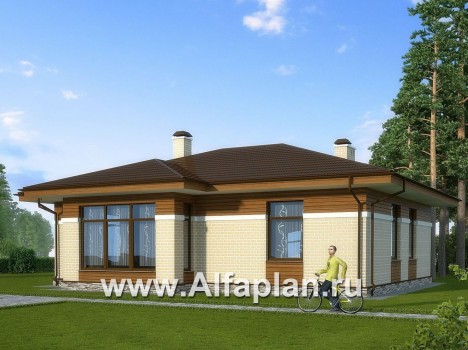 Проекты домов Альфаплан - Одноэтажный дом для небольшой семьи - превью дополнительного изображения №1