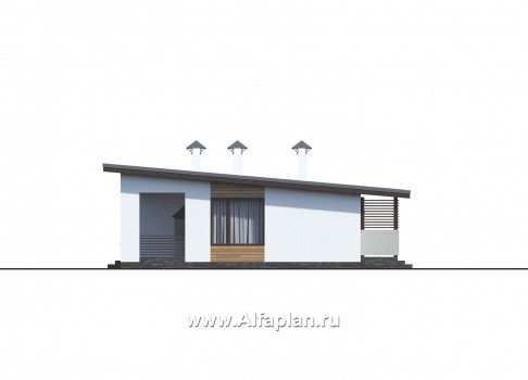 Проекты домов Альфаплан - «Зита» - загородный дом для отдыха - превью фасада №3
