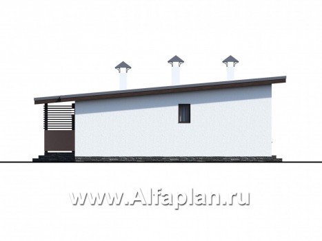 Проекты домов Альфаплан - «Зита» - просторный коттедж в один этаж с сауной и джакузи - превью фасада №3